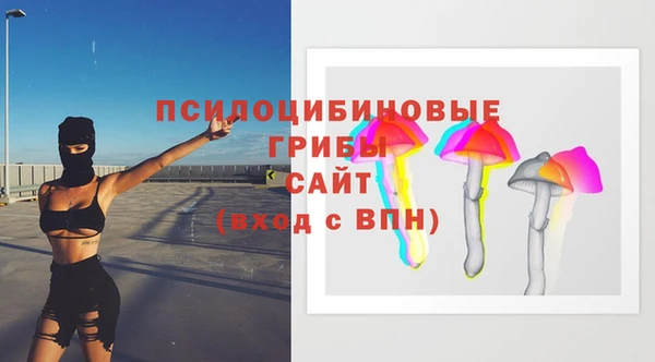 ПСИЛОЦИБИНОВЫЕ ГРИБЫ Абдулино