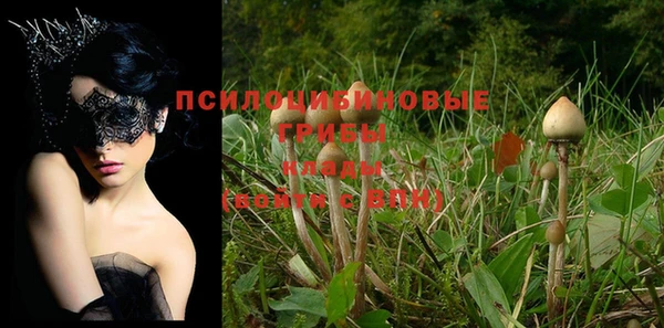 прущая мука Абаза