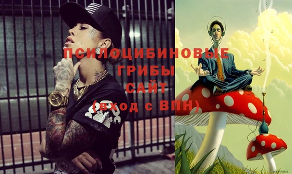 амф Алзамай