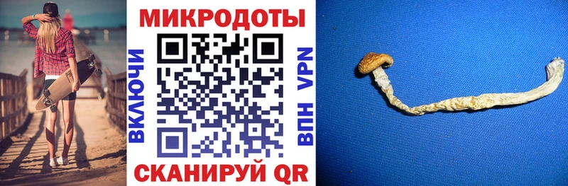 Псилоцибиновые грибы GOLDEN TEACHER  нарко площадка как зайти  Осташков  купить  цена 